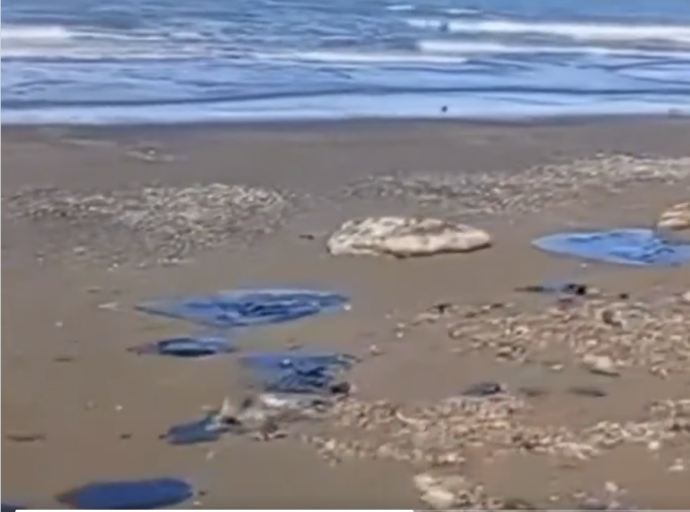 La 4T Destruye Playas